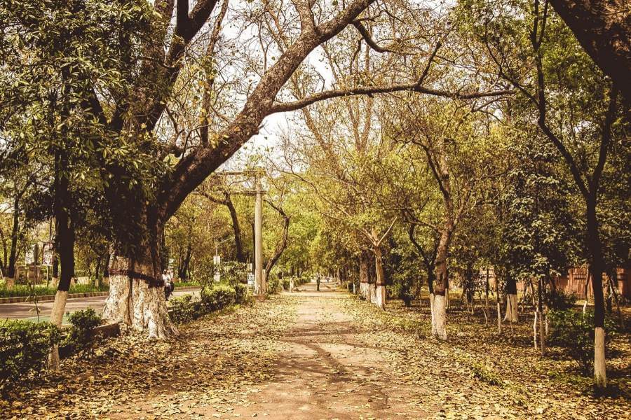 Mall Road Lahore