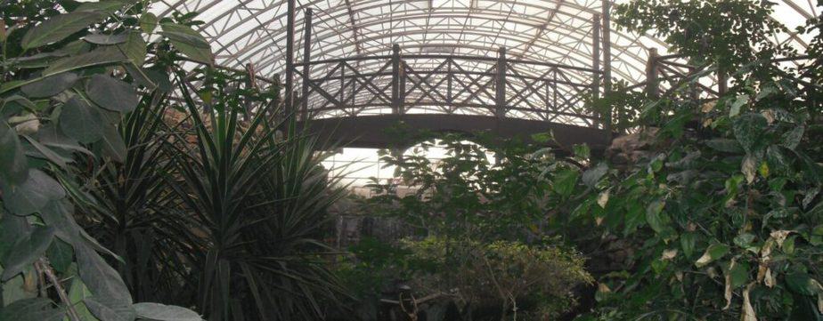 Botonical Garden