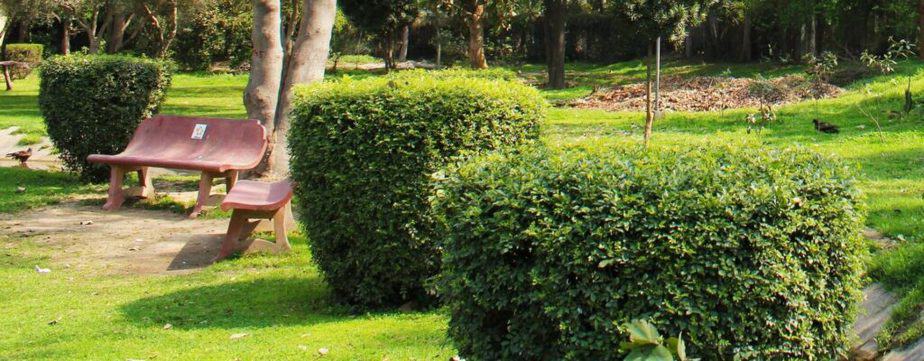 Jilani Park