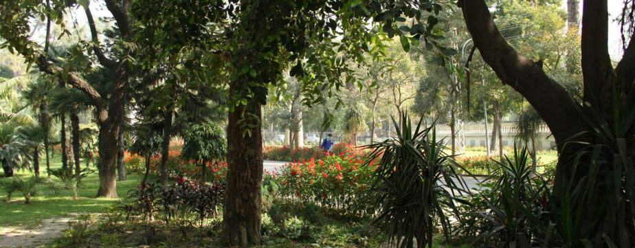 Lawrence Garden