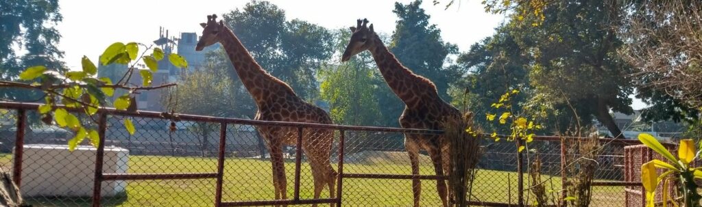Lahore Zoo